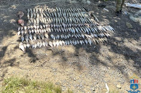 Сальские транспортные полицейские задержали близнецов, которые поймали рыбы на 620 тысяч рублей