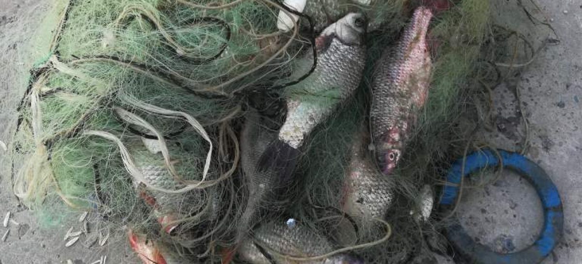 В акватории Веселовского водохранилища транспортные полицейские пресекли незаконный вылов рыбы