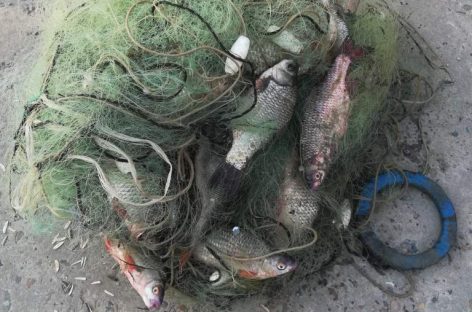 В акватории Веселовского водохранилища транспортные полицейские пресекли незаконный вылов рыбы