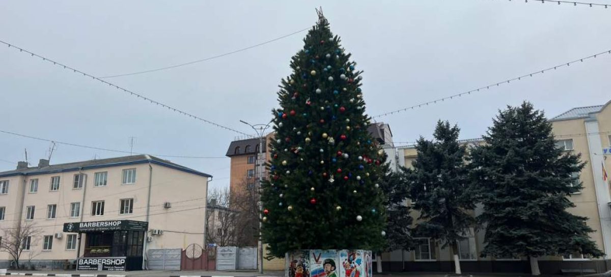 В центре Сальска установлена главная новогодняя красавица города