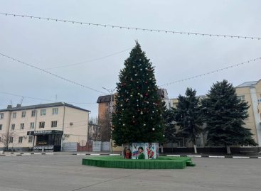 В центре Сальска установлена главная новогодняя красавица города