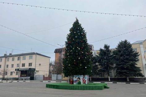 В центре Сальска установлена главная новогодняя красавица города