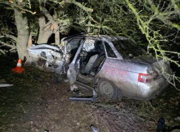 В Сальском районе 45-летний водитель врезался в дерево