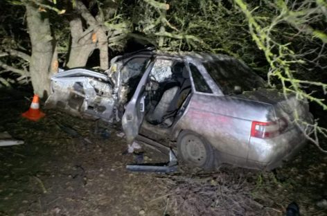 В Сальском районе 45-летний водитель врезался в дерево