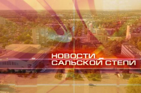Новости Сальской Степи от 1 августа 2025 года