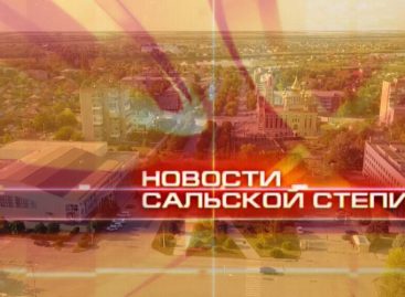 Новости Сальской Степи от 14 февраля 2025 года