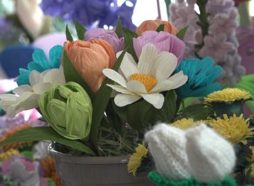 После серой зимы — цветочная  поляна: в Доме пионеров   открылась выставка «Весенний первоцвет»
