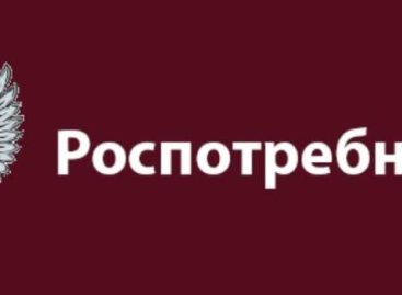 В рамках Всемирного дня прав потребителей в Сальском районе будет работать тематическая «горячая линия»