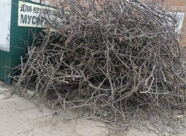 Техника, вывозящая мусор с контейнерных площадок в Сальске, не справляется с огромным весом «некондиционных» отходов