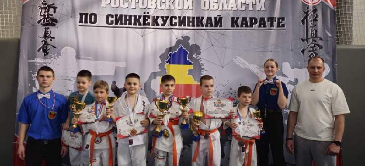Сальская «Катана» завоевала 12 медалей