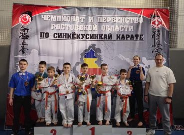 Сальская «Катана» завоевала 12 медалей