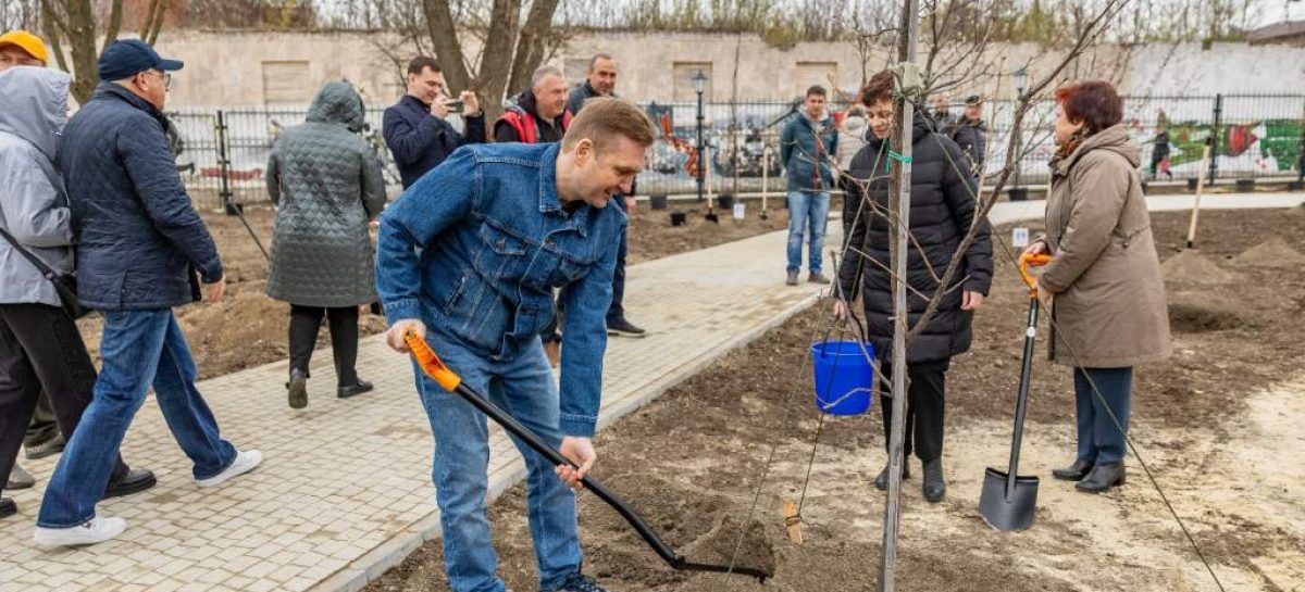 В правительстве Ростовской области подведены итоги прошедшего на Дону весеннего Дня древонасаждений и областного субботника