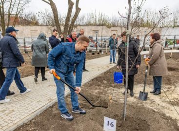 В правительстве Ростовской области подведены итоги прошедшего на Дону весеннего Дня древонасаждений и областного субботника