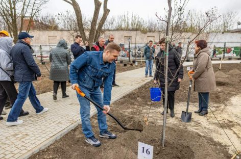 В правительстве Ростовской области подведены итоги прошедшего на Дону весеннего Дня древонасаждений и областного субботника