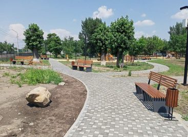 Более ста тысяч дончан выбрали объекты для благоустройства в первую неделю всероссийского голосования