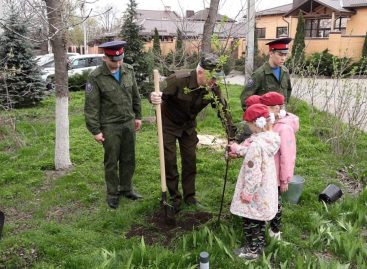 Кадеты в рамках акции «Дон помнит» привели в порядок памятник освободителям Новочеркасска