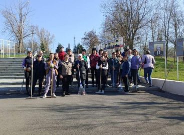 Более 20 тысяч жителей Ростовской области вышли на субботники в ходе акции «Дон помнит»