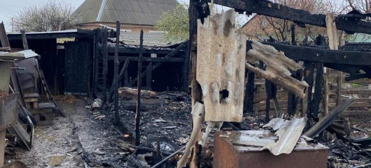 У жителей Сальска в пожаре погибли животные