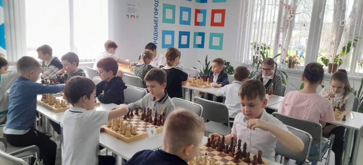 В Сальске провели соревнования по шахматам