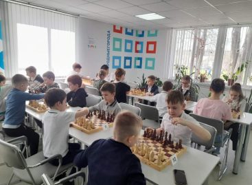 В Сальске провели соревнования по шахматам