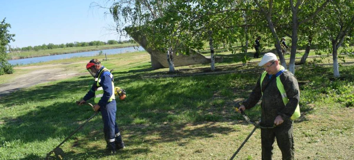 В Сальске завершается первый покос сорной растительности