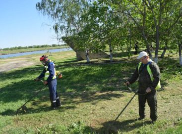 В Сальске завершается первый покос сорной растительности