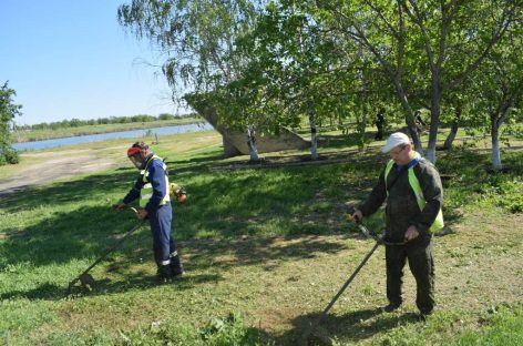 В Сальске завершается первый покос сорной растительности