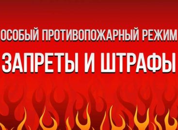 Жителям Сальского района напомнили о действии особого противопожарного режима