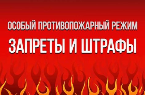Жителям Сальского района напомнили о действии особого противопожарного режима