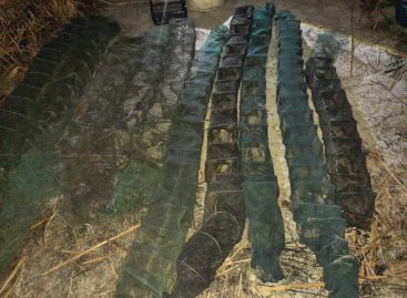 Группой дознания Сальского линейного отдела возбуждено уголовное дело по факту незаконного вылова биоресурсов