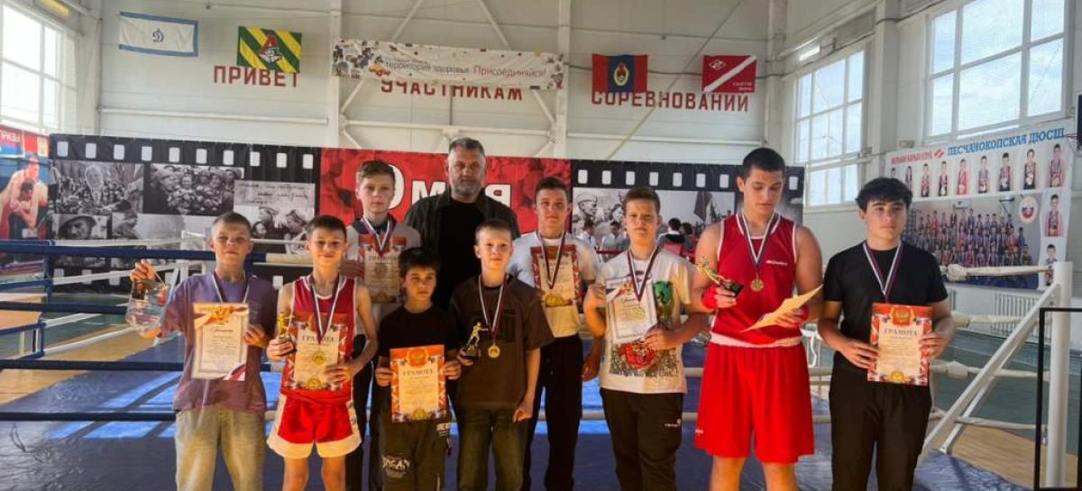 Сальские боксеры привезли медали из Песчанокопского