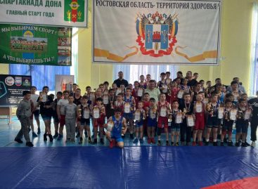 Сальские борцы успешно выступили на соревнованиях, посвященных 80-летию Победы