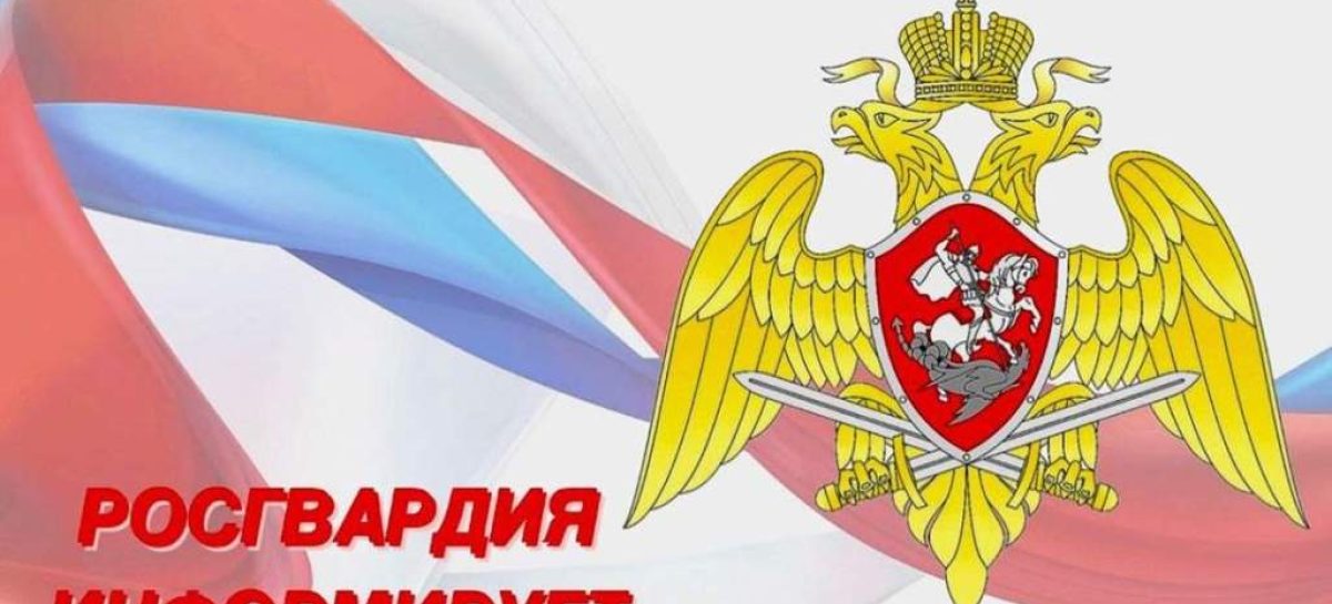 Жителям Сальского района предлагают добровольно сдать незаконно хранящиеся оружие и боеприпасы