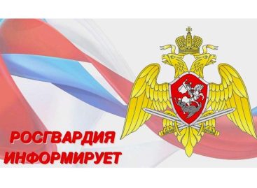 Жителям Сальского района предлагают добровольно сдать незаконно хранящиеся оружие и боеприпасы