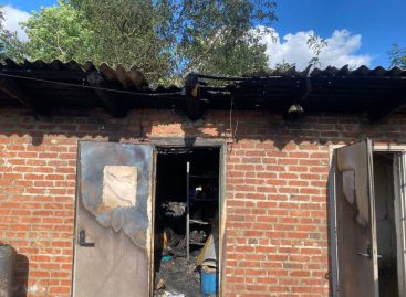 В Сальском районе сгорела хозпостройка