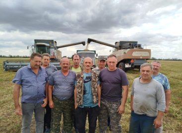 В Сальском районе убирают хлеб