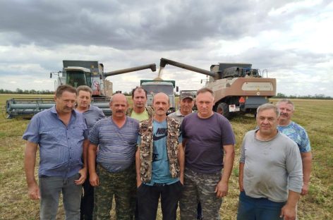 В Сальском районе убирают хлеб