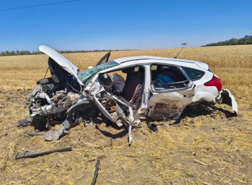 В Сальском районе в аварии погибли два человека
