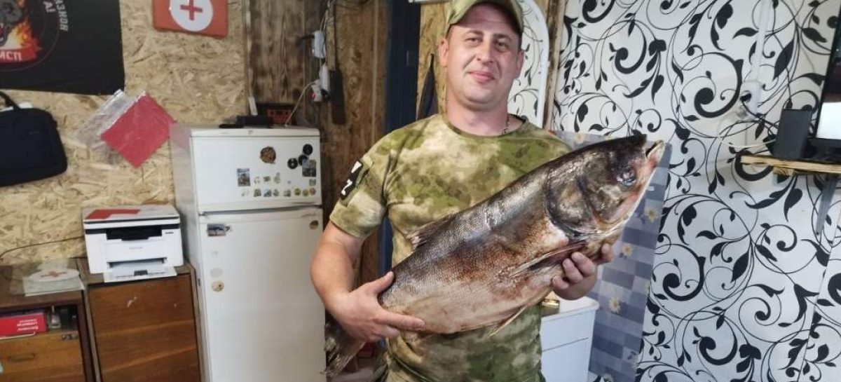 Сила тыла «Русского мира»: продолжаем рассказывать о поездках гумбатальона за ленту и тех, кто добывает победу на фронте и в тылу