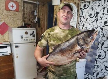 Сила тыла «Русского мира»: продолжаем рассказывать о поездках гумбатальона за ленту и тех, кто добывает победу на фронте и в тылу