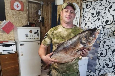 Сила тыла «Русского мира»: продолжаем рассказывать о поездках гумбатальона за ленту и тех, кто добывает победу на фронте и в тылу