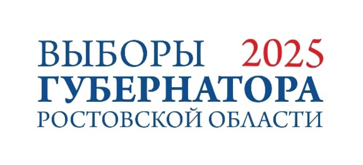 Впервые на Дону избирателям о выборах расскажут волонтеры