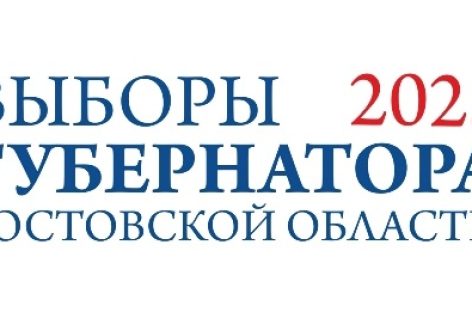 Впервые на Дону избирателям о выборах расскажут волонтеры