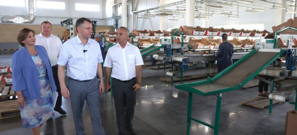 Юрий Слюсарь заявил, что на Дону должны появиться агроагрегаторы