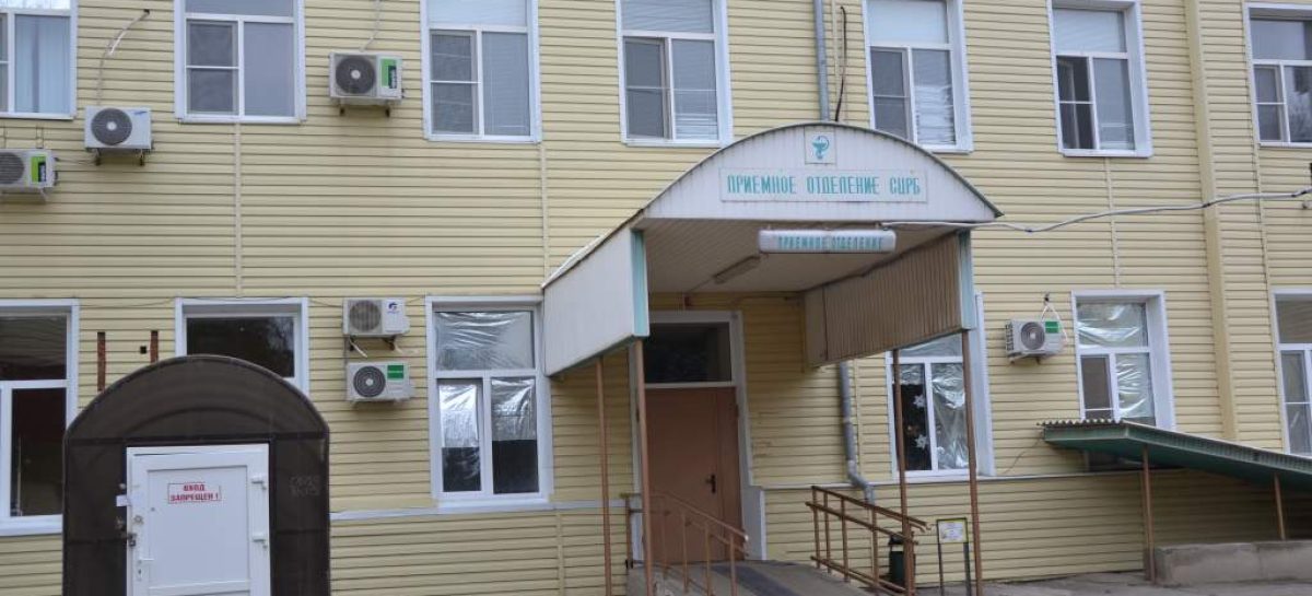 В Сальском районе иномарка столкнулась с диким кабаном