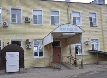 В Сальском районе иномарка столкнулась с диким кабаном