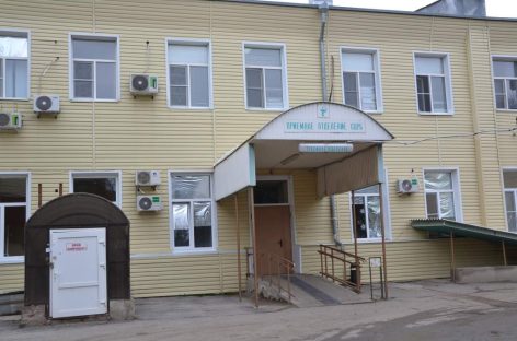 В Сальском районе иномарка столкнулась с диким кабаном