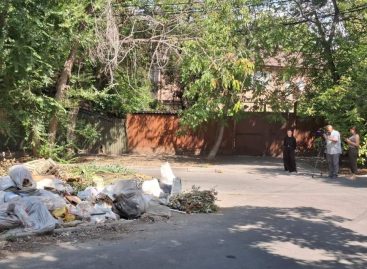 «Серых возчиков» уже оштрафовали более чем на 600 тысяч рублей в Ростовской области