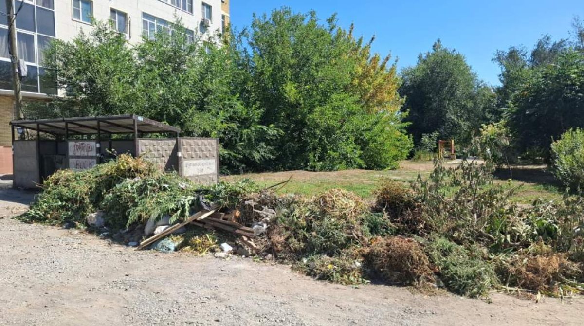 Новые правила: что сальчанам следует знать о растительных отходах