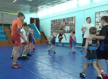 Золото и бронза — в Батайске, в Новосибирске — серебро: борцы греко-римского стиля из поселка Гигант  отличились на областных и международных соревнованиях